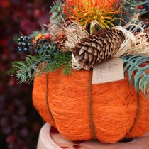 Article Pot de fleurs décoration citrouille orange/jaune-vert sisal Ø21cm H12cm