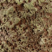 Article Pot de fleurs rustique aspect mousse Ø17cm H16,5cm