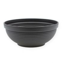 Article Bol R en plastique anthracite Ø13cm - 19cm 10pcs
