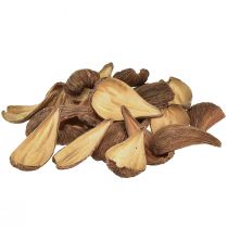 Article Capsules de fruits et graines Pradeep Pods 9-12 cm naturel 50 pièces