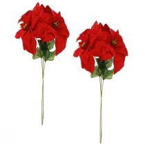Article Magnifique étoile de Noël - Poinsettia en rouge - 46 cm 6pcs 2 bouquet