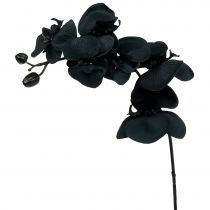 Article Orchidée à décorer Noir 54cm