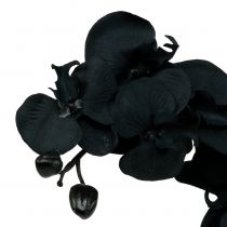 Orchidée à décorer Noir 54cm