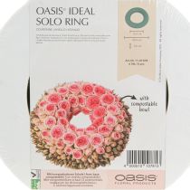Article Couronne florale en mousse OASIS®, anneau vert, H3 cm, Ø25 cm, 6 pièces