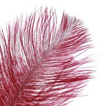 Article Plumes d&#39;autruche vraies plumes décoration vin rouge 20-25cm 12 pcs