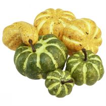 Article Décoration à disperser décoration d&#39;automne citrouilles jaune vert Ø2–4,5cm 12 pcs