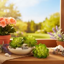 Article Plante grasse artificielle verte, pour décoration dans un bol ou un vase, 10 cm, lot de 4