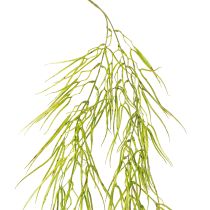 Article Succulente suspendue verte 145cm