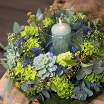 Article Pierre succulente rose vert Ø10cm H11cm 3 pcs