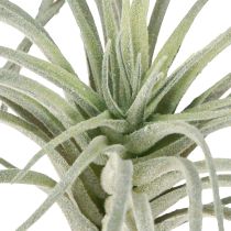 Article Plantes vertes artificielles succulentes Tillandsia 13 cm