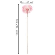 Article Fleurs séchées géantes de pissenlit, décoration élégante pour la maison, 12 cm, lot de 4
