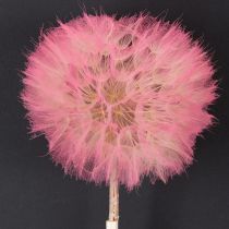 Article Fleurs séchées géantes de pissenlit, décoration élégante pour la maison, 12 cm, lot de 4