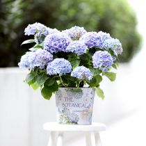 Article Jardinière métal pot de fleur hortensia Ø24cm H21cm