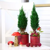 Article Jardinière Métal Métal Pot de Plante Vintage Rouge Marron Ø12/9.5cm Lot de 2