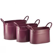 Article Cache-pot ovale en métal violet 24/21/18cm lot de 3 pièces