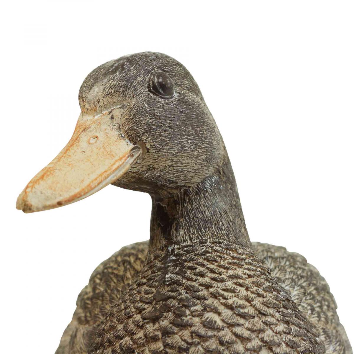 207399_7