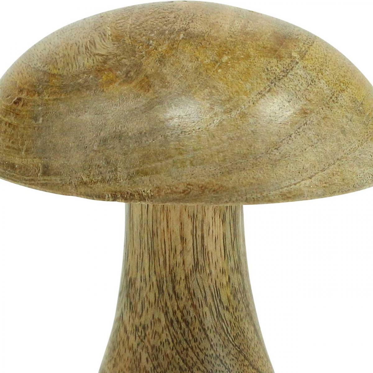 Kikolufy Lot De 30 Champignons En Bois Brut De Grande Taille