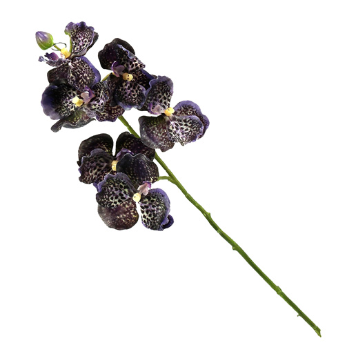Floristik24.be Orchidée Vanda violette artificielle L 44cm - acheter pas  cher en ligne