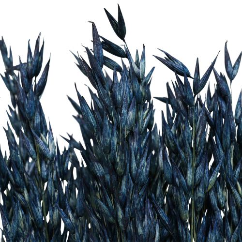 Article Fleurs séchées, avoine décoration grains séchés bleu 68cm 230g