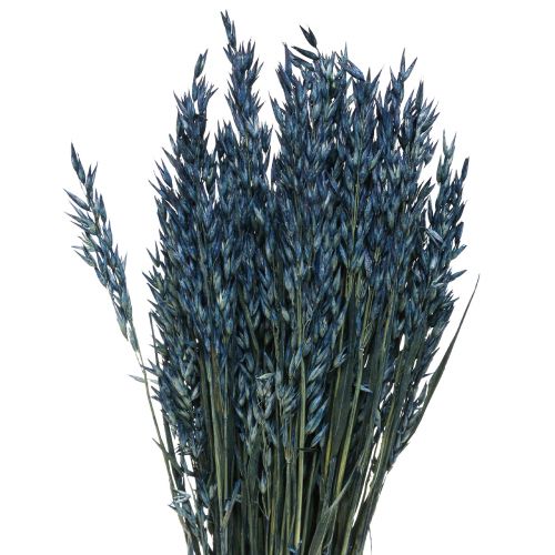 Article Fleurs séchées, avoine décoration grains séchés bleu 68cm 230g