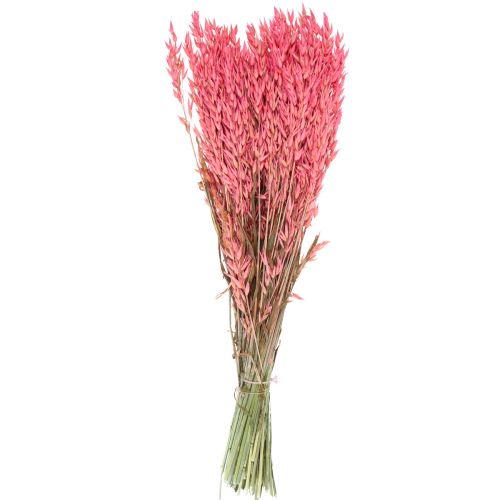 Floristik24 Fleurs séchées, avoine grains séchés décoratif rose 65cm 160g