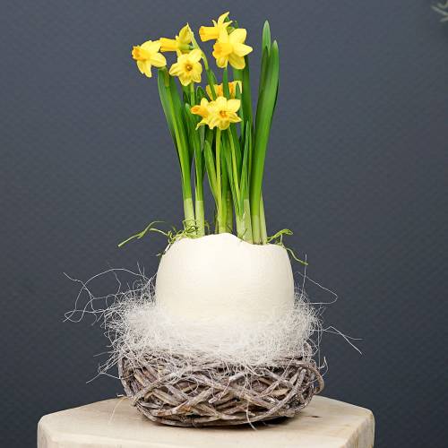 Nid de Pâques de brindilles Nature, lavé en blanc Ø13cm 3pcs