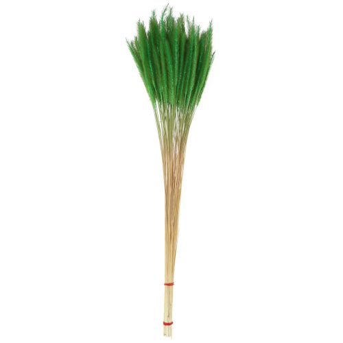 Article Millet à soies vertes Setaria viridis herbe sèche 52cm 28g