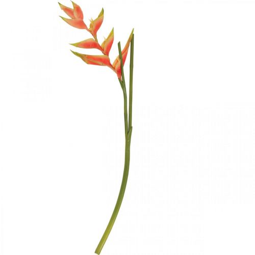 Article Heliconia artificielle fleurs artificielles rose exotique, vert H103cm