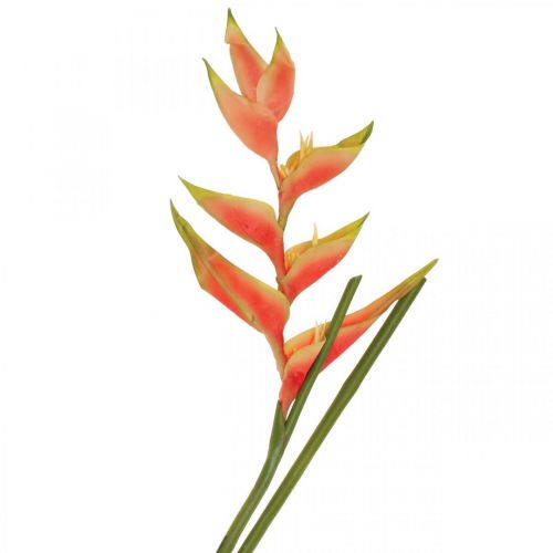 Floristik24 Heliconia artificielle fleurs artificielles rose exotique, vert H103cm