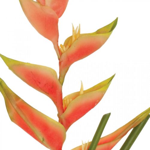 Article Heliconia artificielle fleurs artificielles rose exotique, vert H103cm