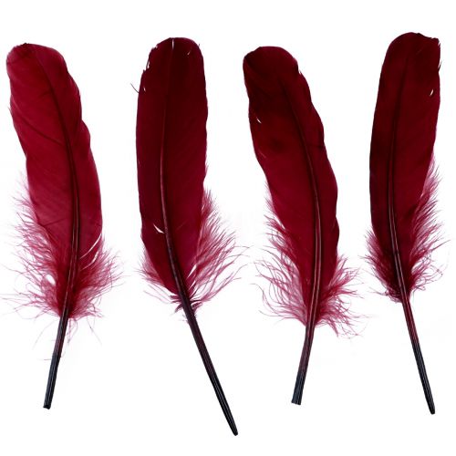 Floristik24 Plumes décoratives pour travaux manuels, véritables plumes d&#39;oiseaux, rouge vin, 20g