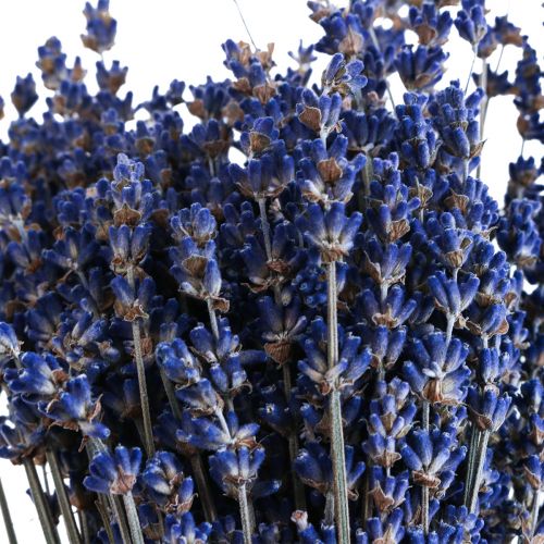 Article Lavande séchée Bouquet de fleurs séchées Bleu 25cm 75g