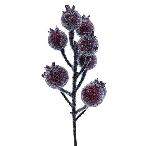 Floristik24 Branche d'églantier branche de baies givre plante artificielle rouge 25cm 12pcs