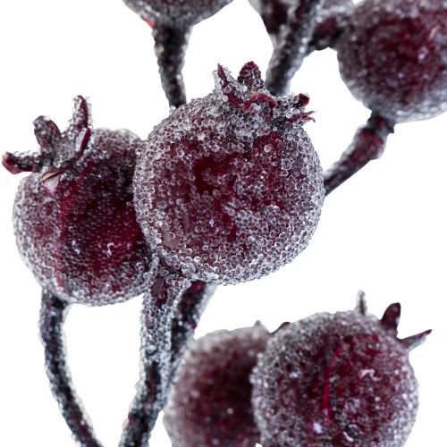 Floristik24 Branche d'églantier branche de baies givre plante artificielle rouge 25cm 12pcs