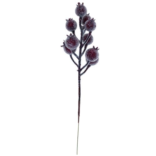 Floristik24 Branche d'églantier branche de baies givre plante artificielle rouge 25cm 12pcs
