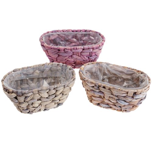 Floristik24 Panier à plantes en jonc de mer, jardinière en jacinthe d&#39;eau ovale 20,5 cm 3 pcs