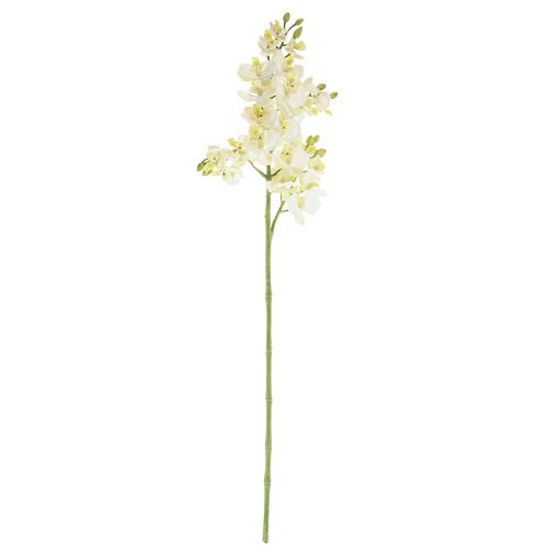 Floristik24 Phalaenopsis Orchidées Artificielles Fleurs Artificielles Blanc 70cm