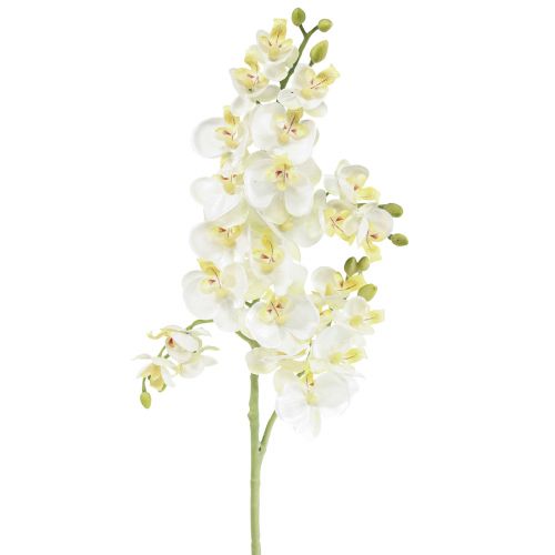 Floristik24 Phalaenopsis Orchidées Artificielles Fleurs Artificielles Blanc 70cm