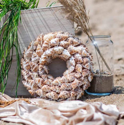 Floristik24 Déco guirlande escargots Décoration maritime porte guirlande escargots de mer Ø25cm