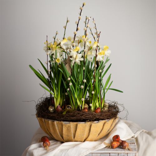 Floristik24 Jardinière ronde, décoration florale, bol en plastique, récipient pour compositions vert, blanc chiné H8,5cm Ø30cm