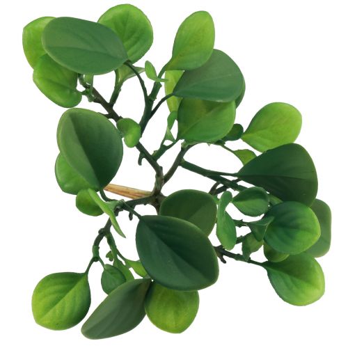 Article Plante verte artificielle succulente vert artificiel H14cm