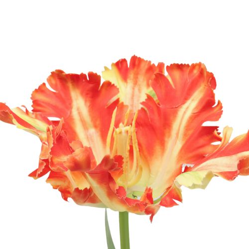 Floristik24 Fleur artificielle perroquet tulipe artificielle tulipe orange 69cm