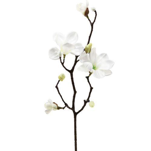 Floristik24 Fleur artificielle branche de magnolia magnolia artificiel blanc 58cm 3pcs