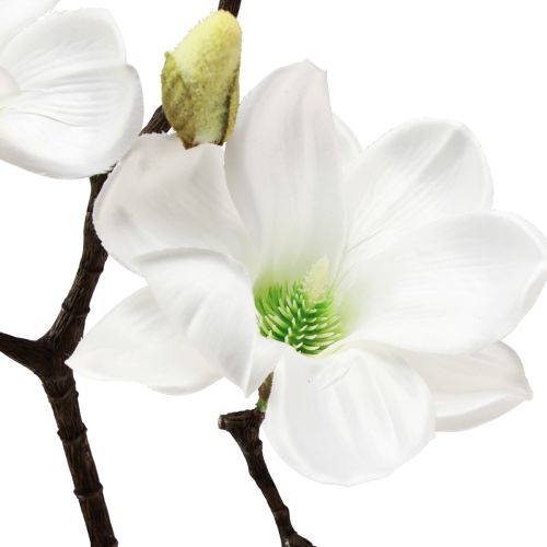 Floristik24 Fleur artificielle branche de magnolia magnolia artificiel blanc 58cm 3pcs