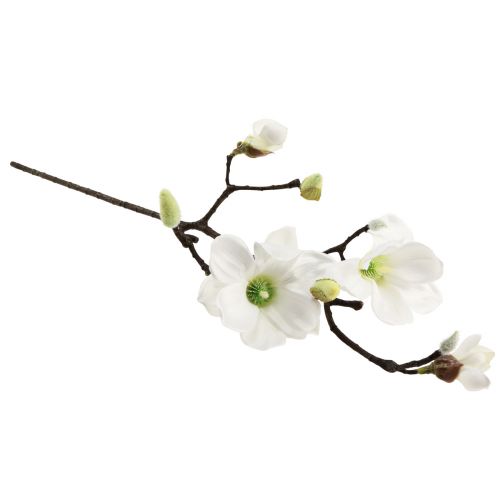 Floristik24 Fleur artificielle branche de magnolia magnolia artificiel blanc 58cm 3pcs
