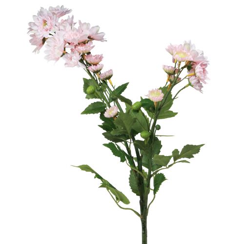 Floristik24 Fleurs artificielles Asters artificiels Fleurs en soie Rose 80cm