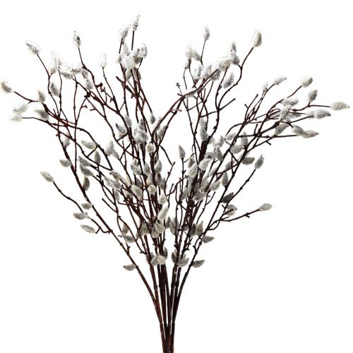Floristik24 Chatons artificiels de saule décoration 73cm 4 pièces