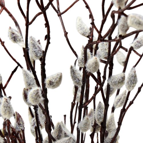 Floristik24 Chatons artificiels de saule décoration 73cm 4 pièces