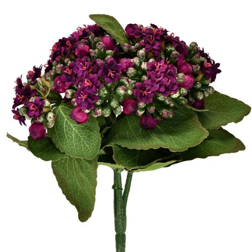 Floristik24 Flaming Käthchen Kalanchoe violet artificiel 24cm