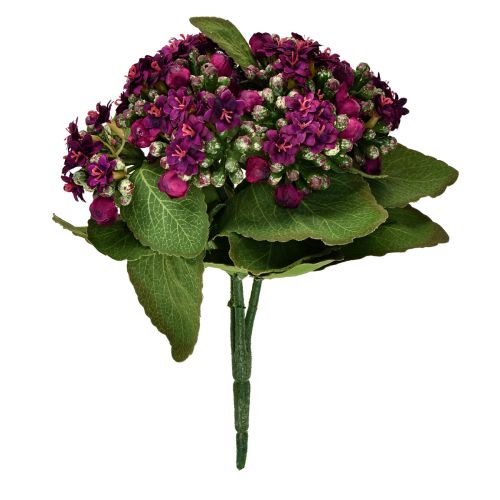 Article Flaming Käthchen Kalanchoe violet artificiel 24cm